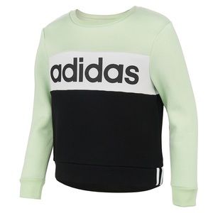 Adidas Logo Green Colorblock Crewneck Sweatshirt